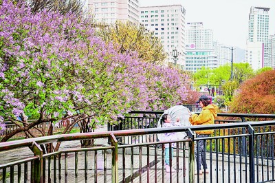 智慧财讯  青山作谱 绿韵如歌——青海西宁大力推动生态保护和文旅融合发展