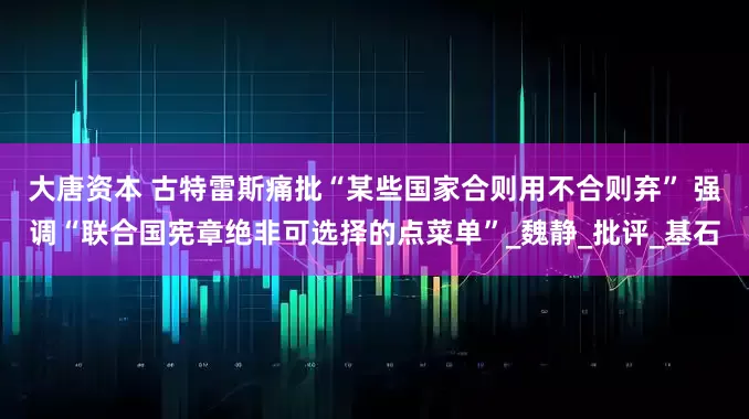 大唐资本 古特雷斯痛批“某些国家合则用不合则弃” 强调“联合国宪章绝非可选择的点菜单”_魏静_批评_基石