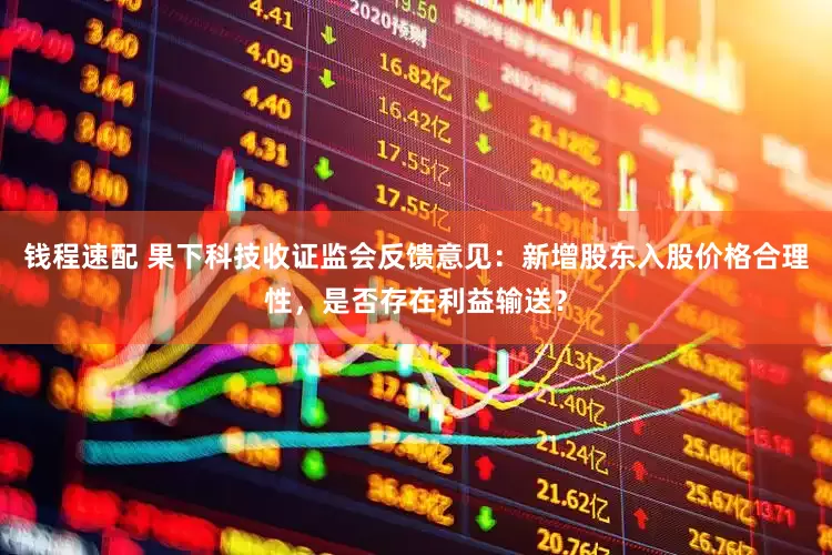 钱程速配 果下科技收证监会反馈意见：新增股东入股价格合理性，是否存在利益输送？