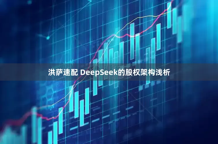 洪萨速配 DeepSeek的股权架构浅析