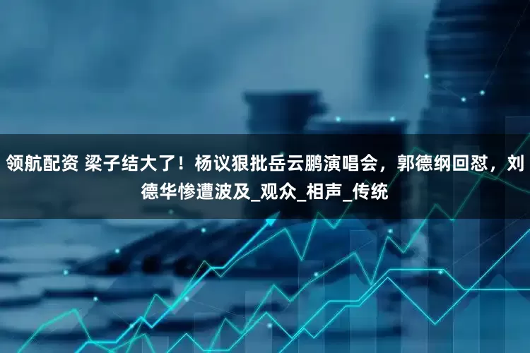 领航配资 梁子结大了！杨议狠批岳云鹏演唱会，郭德纲回怼，刘德华惨遭波及_观众_相声_传统