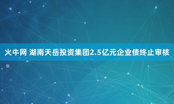 火牛网 湖南天岳投资集团2.5亿元企业债终止审核