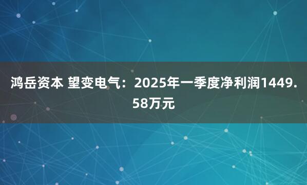 鸿岳资本 望变电气：2025年一季度净利润1449.58万元