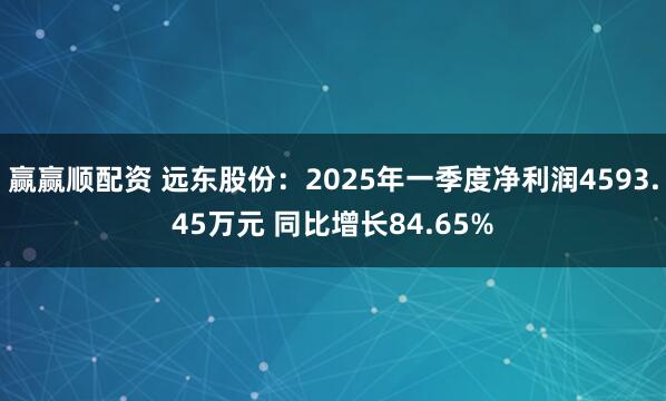 赢赢顺配资 远东股份：2025年一季度净利润4593.45万元 同比增长84.65%