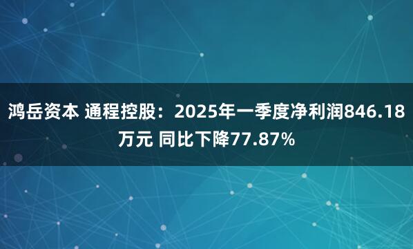 鸿岳资本 通程控股：2025年一季度净利润846.18万元 同比下降77.87%